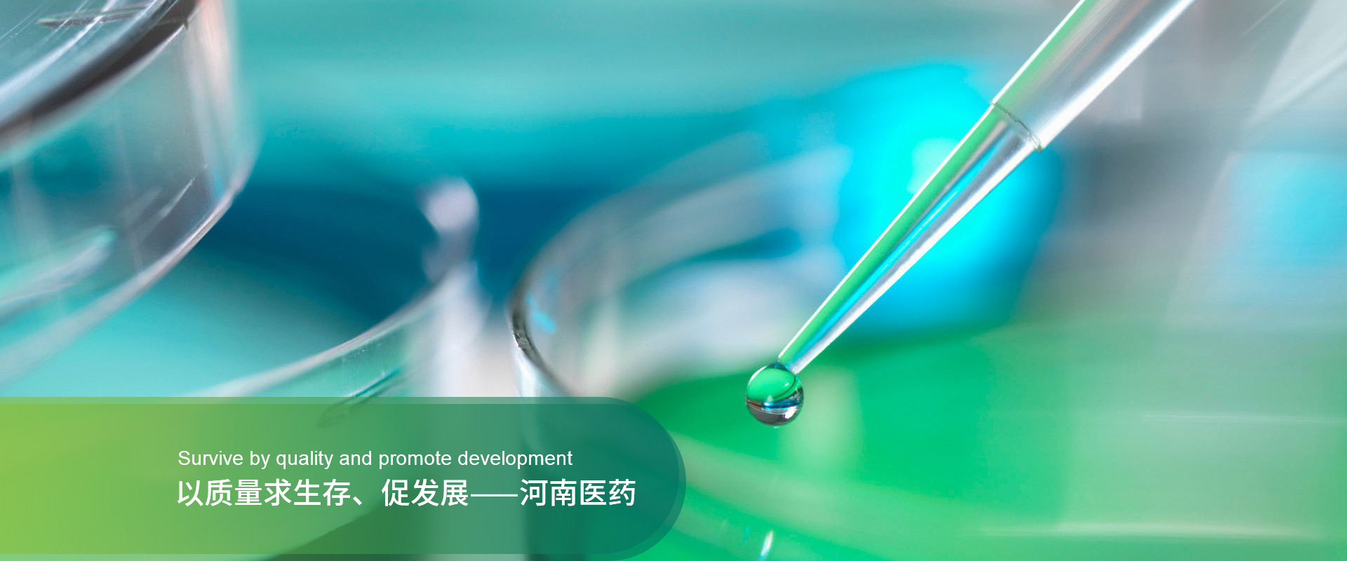 以質量求生存、促發展